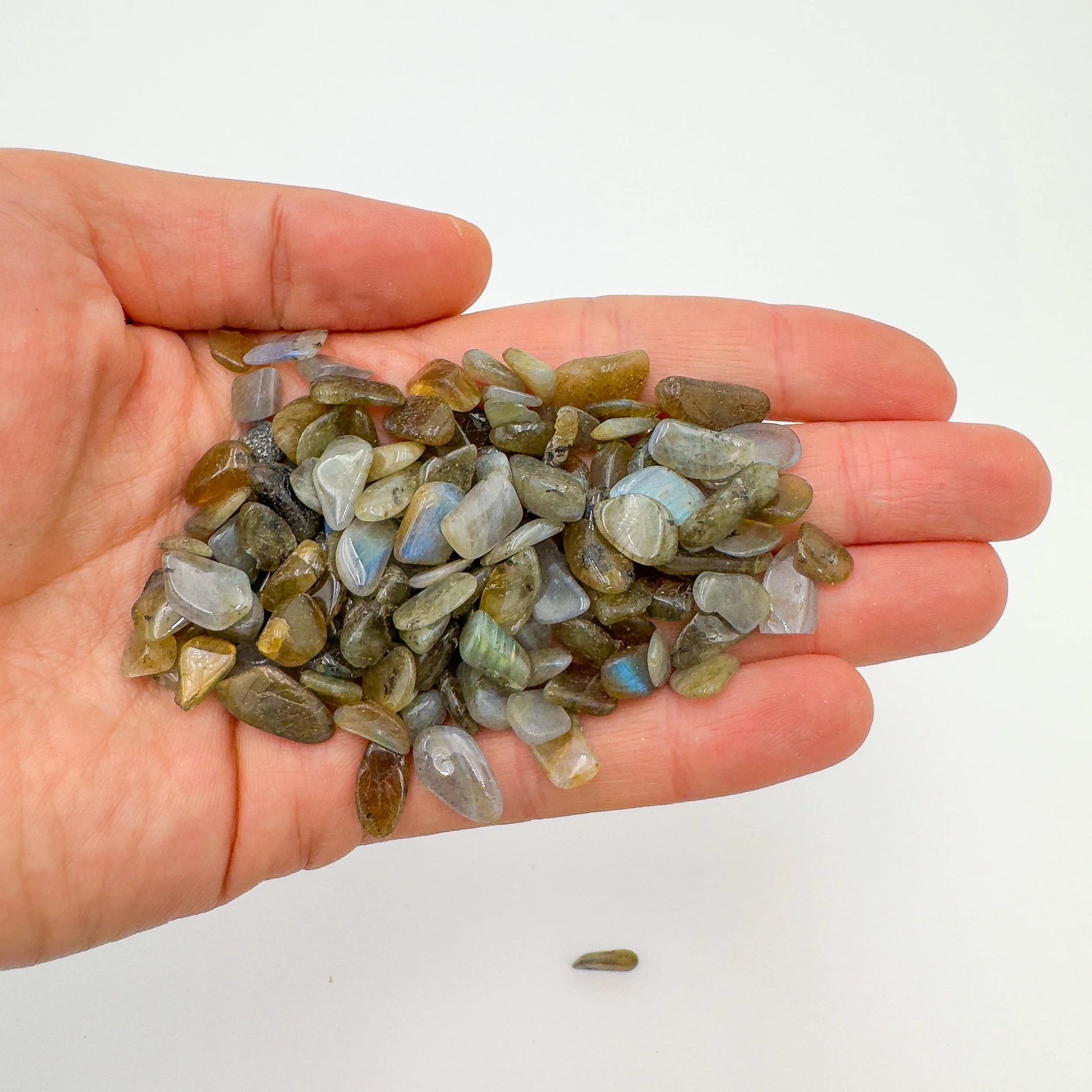 Rear view of Labradorite polished chip, hand-selected from Atsimo-Andrefana, Madagascar.