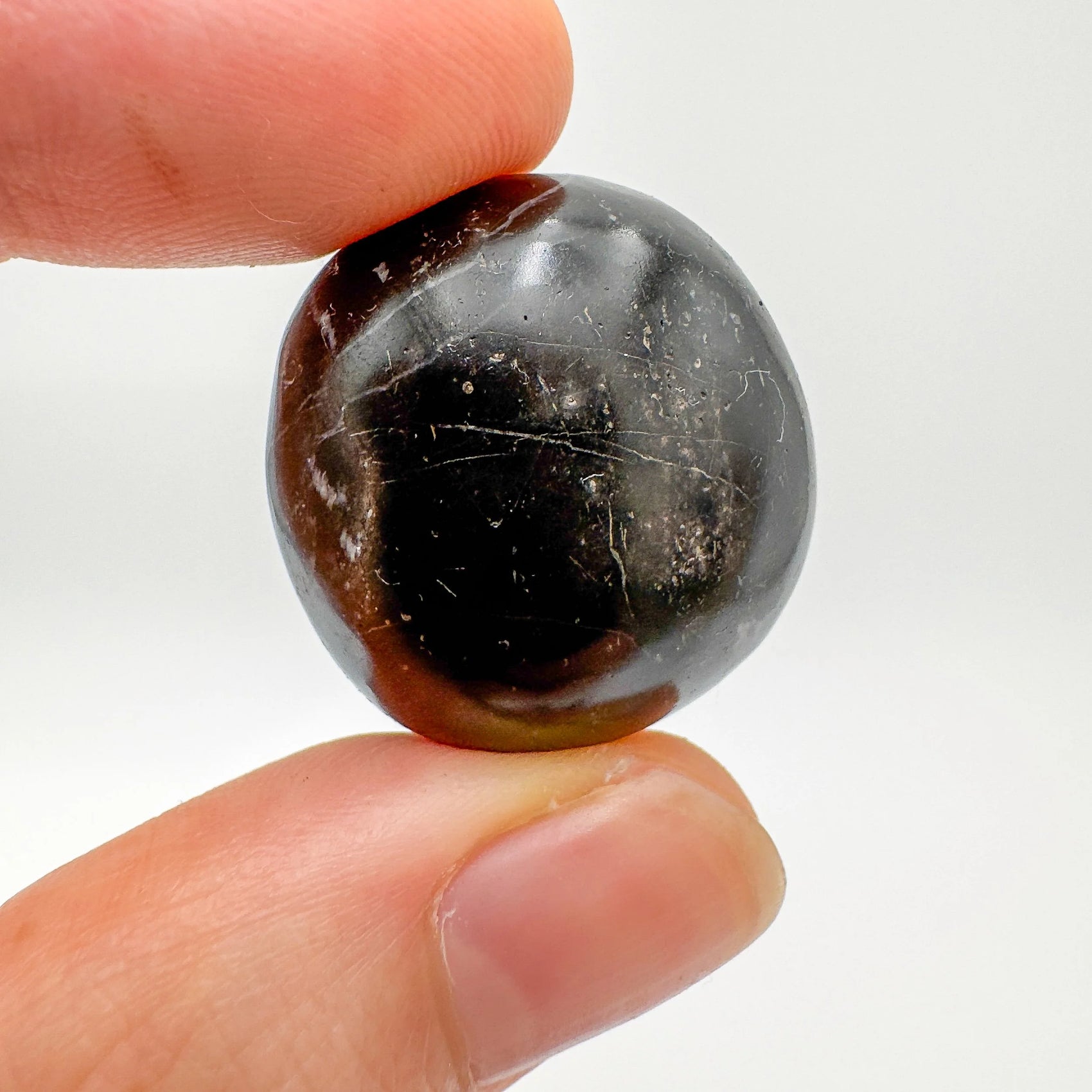 Display context of Black Onyx tumbled stone, from Ancash, Peru, showing the wear and finish.