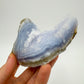 Full profile of Grade AA Blue Lace Agate geode ready to ship from Beyond Bohemian