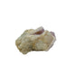 AA-grade cactus spirit quartz specimen from Mpumalanga South Africa, front view, druzy secondary points covering the host crystal, 2.50 in L x 1.31 in W x 2.12 in H, 0.29 pounds, specimen 19.