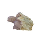 AA-grade cactus spirit quartz specimen from Mpumalanga South Africa, right profile, lavender and clear terminations across the body, 2.50 in L x 1.31 in W x 2.12 in H, 0.29 pounds, specimen 19.