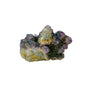 Cactus Spirit Quartz Specimen | South Africa
