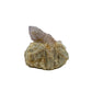 AA-grade cactus spirit quartz specimen from Mpumalanga South Africa, front view, druzy secondary points covering the host crystal, 1.83 in L x 1.22 in W x 1.85 in H, 0.19 pounds, specimen 3.