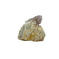 AA-grade cactus spirit quartz specimen from Mpumalanga South Africa, reverse side, full coverage of secondary crystals, 1.83 in L x 1.22 in W x 1.85 in H, 0.19 pounds, specimen 3.