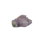 AA-grade cactus spirit quartz specimen from Mpumalanga South Africa, left profile, individual spirit quartz points catching the light, 2.06 in L x 1.77 in W x 0.86 in H, 0.15 pounds, specimen 5.