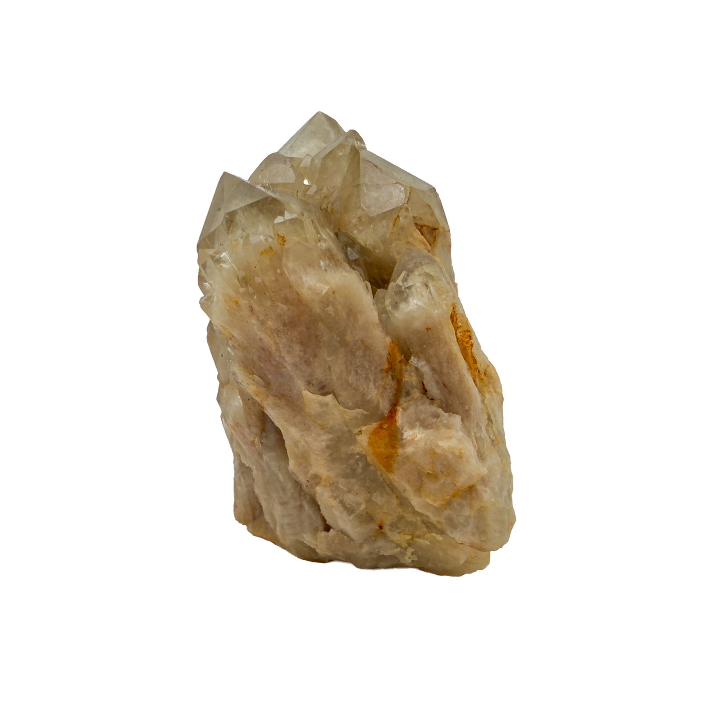 Right profile of natural citrine no. 2, 1.92 inches across, terminations catching light along the top edge.