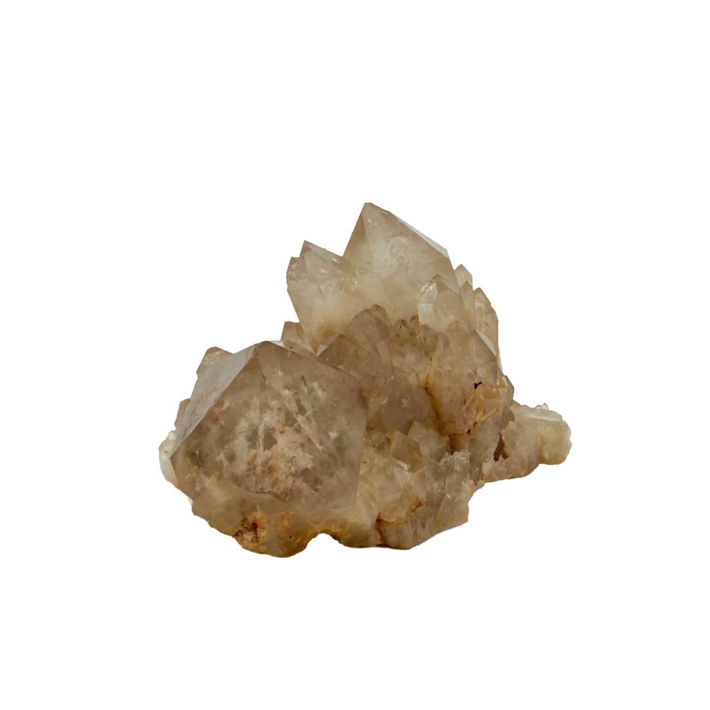 Congo natural citrine cluster no. 4 at the left profile, 1.59 inches wide, hand-finished with jojoba oil.