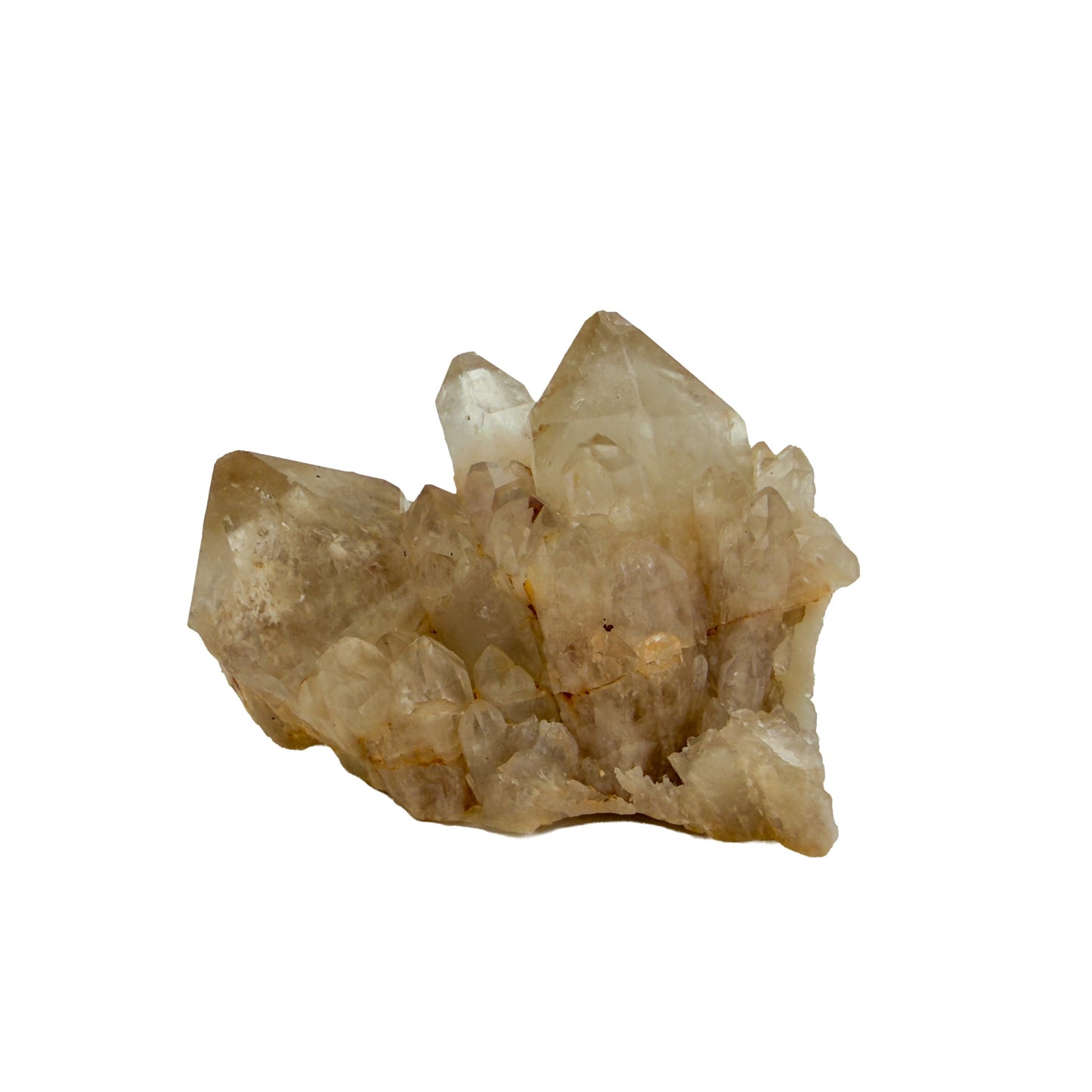 A-grade natural citrine cluster no. 4 from Haut-Lomami, DR Congo, right profile, honey-toned quartz terminations, 2.46 inches long.