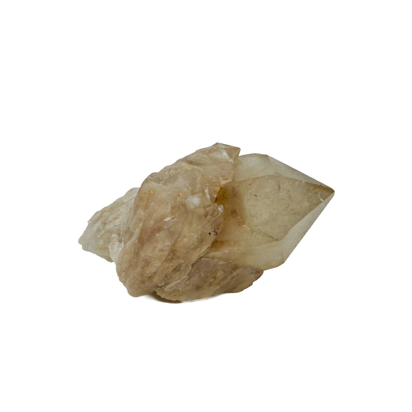 Primary crystal face of natural citrine no. 5, 2.86 inches across, terminations catching light along the top edge.