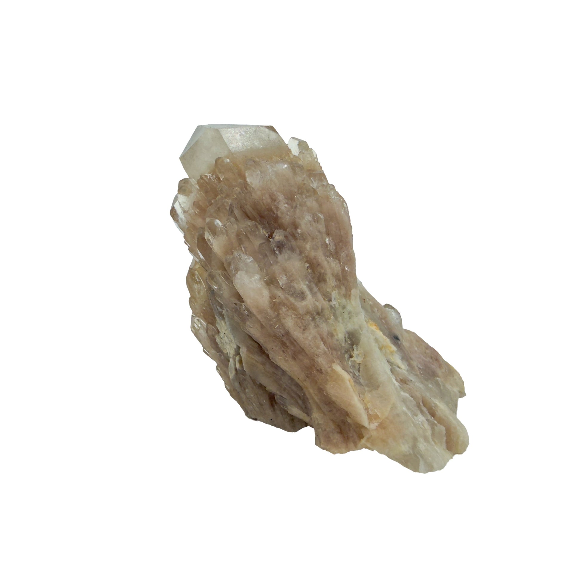 The right profile of citrine cluster no. 7, 2.53 inches tall, soft golden colour with smoky grey zoning.
