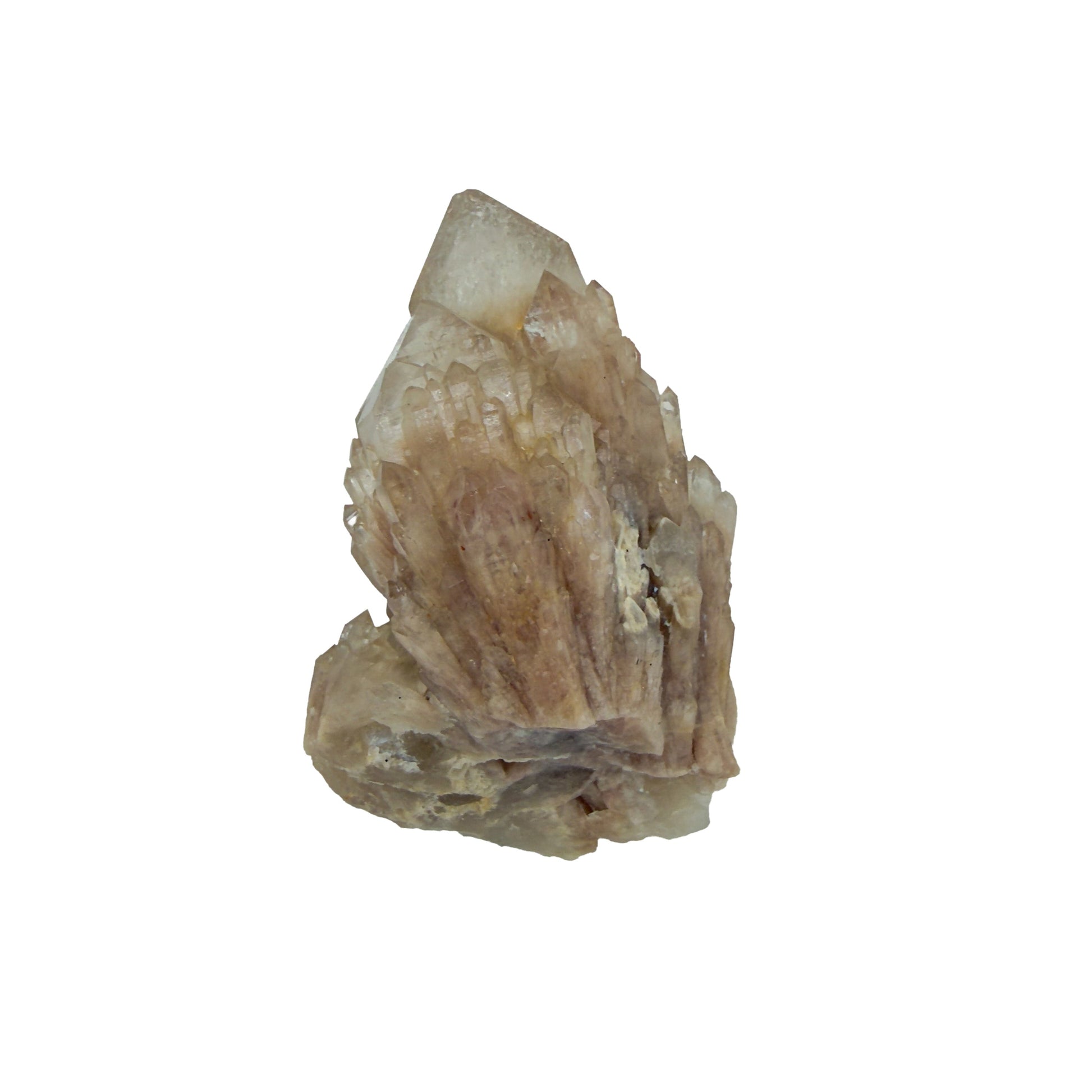 Top-down view of natural citrine no. 7, 2.19 inches across, terminations catching light along the top edge.