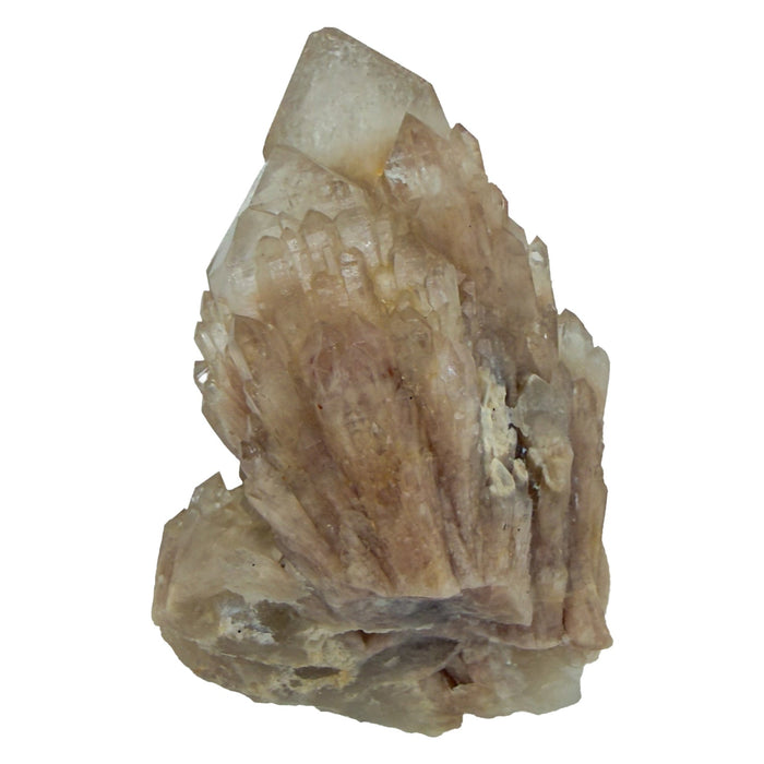 Top-down view of natural citrine no. 7, 2.19 inches across, terminations catching light along the top edge.