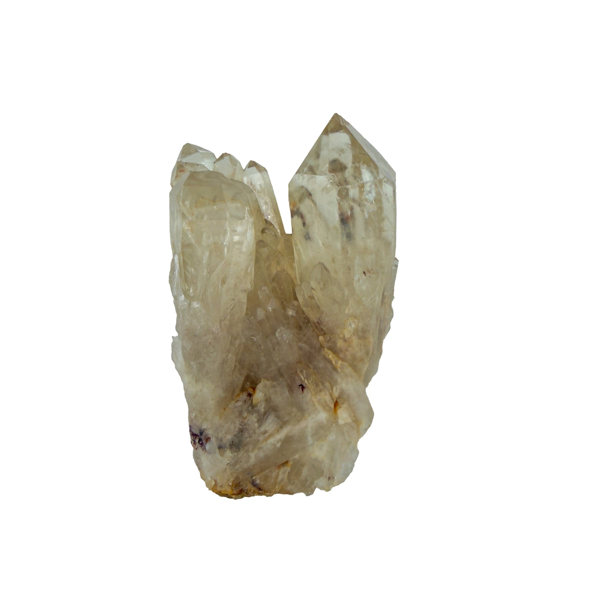 Reverse side of natural citrine no. 8, 3.34 inches across, terminations catching light along the top edge.