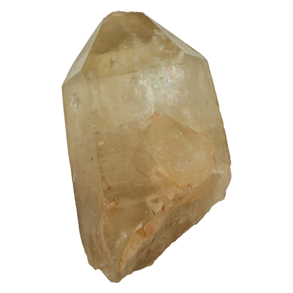 A-grade natural citrine cluster no. 10 from Haut-Lomami, DR Congo, reverse side, honey-toned quartz terminations, 1.45 inches long.