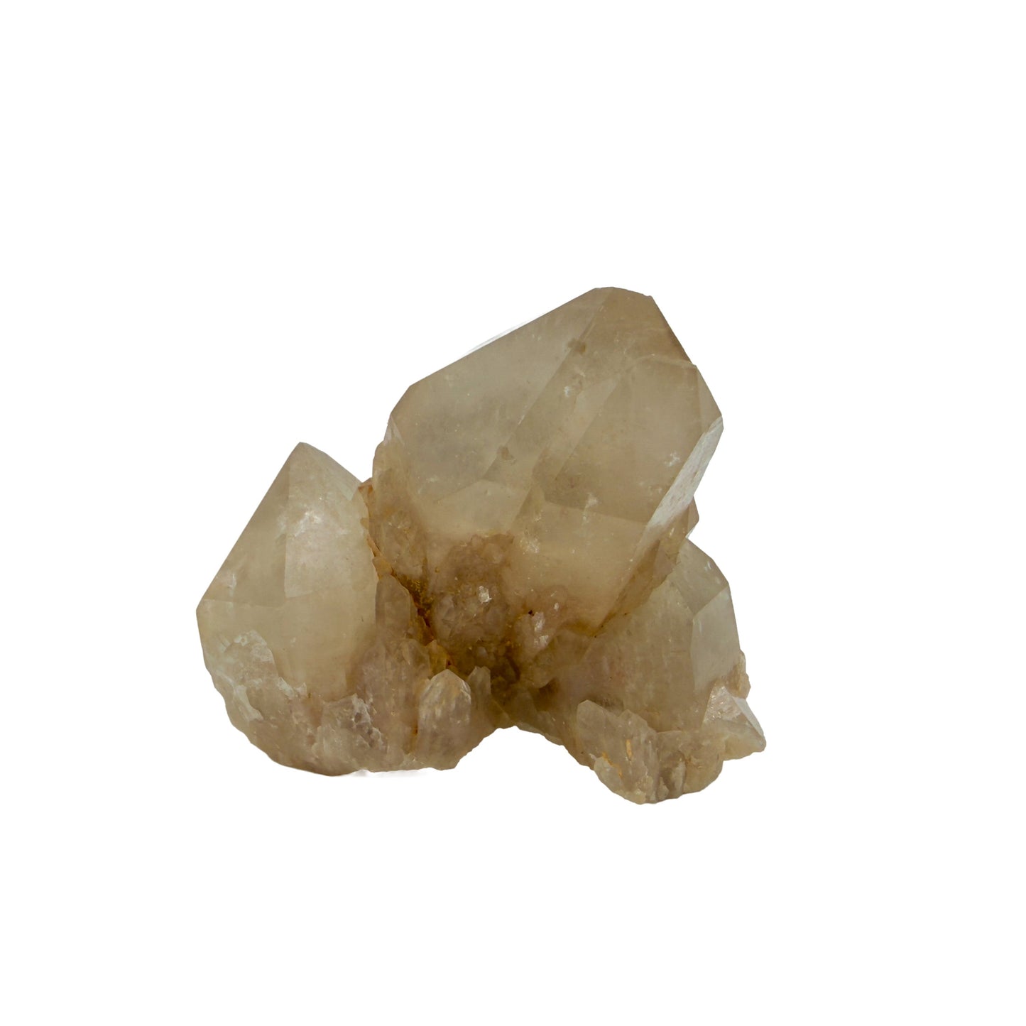Primary crystal face of natural citrine no. 12, 2.45 inches across, terminations catching light along the top edge.