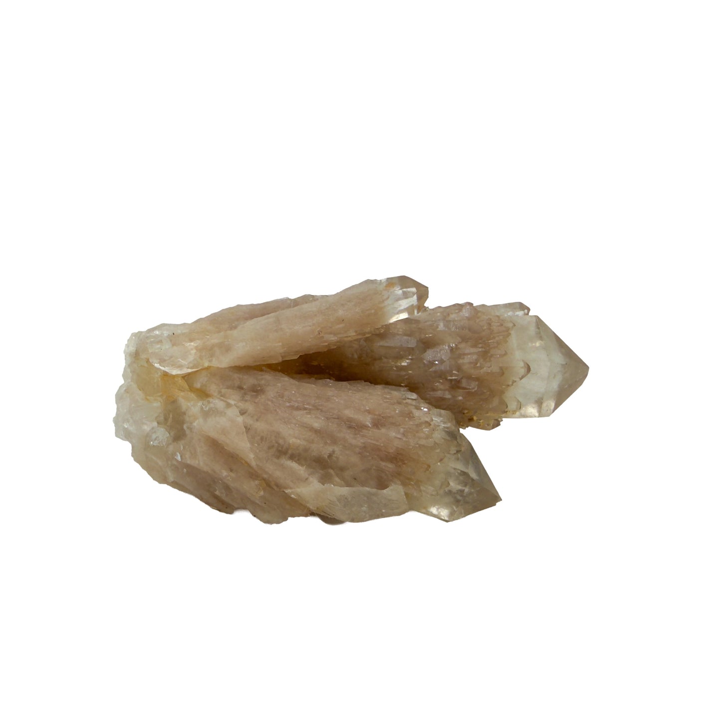 A-grade natural citrine cluster no. 14 from Haut-Lomami, DR Congo, primary crystal face, honey-toned quartz terminations, 3.22 inches long.