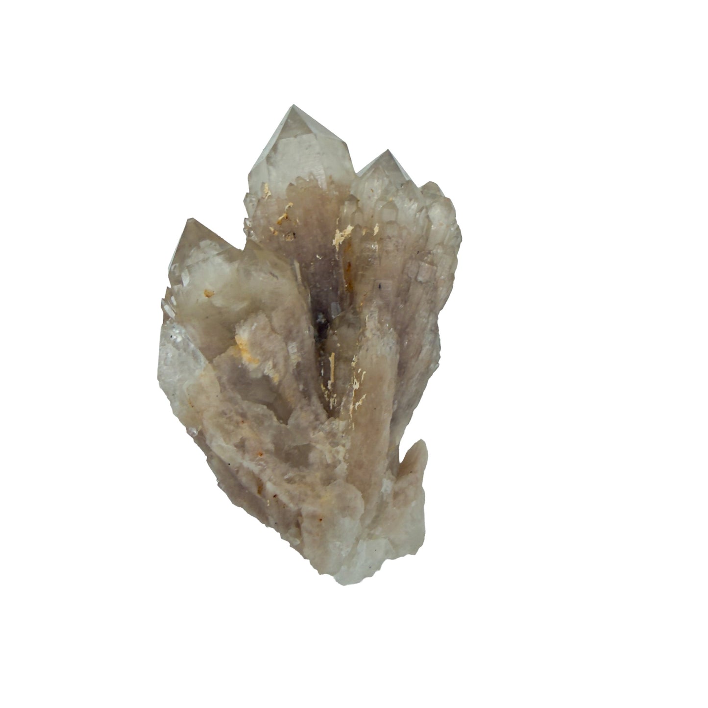 Top-down view of natural citrine no. 14, 3.22 inches across, terminations catching light along the top edge.