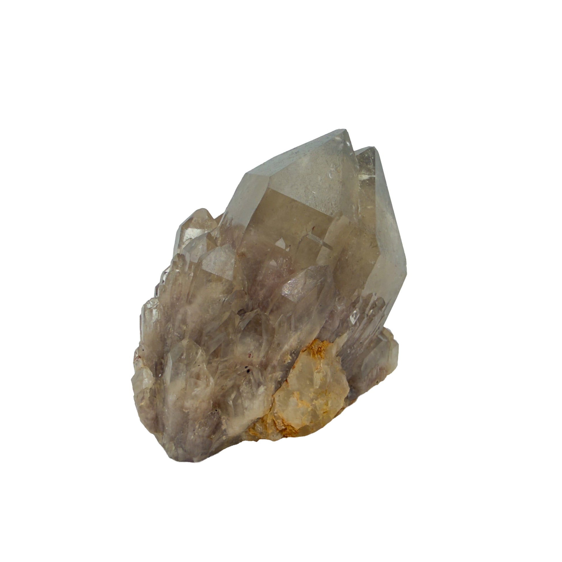 Left profile of natural citrine no. 17, 2.23 inches across, terminations catching light along the top edge.