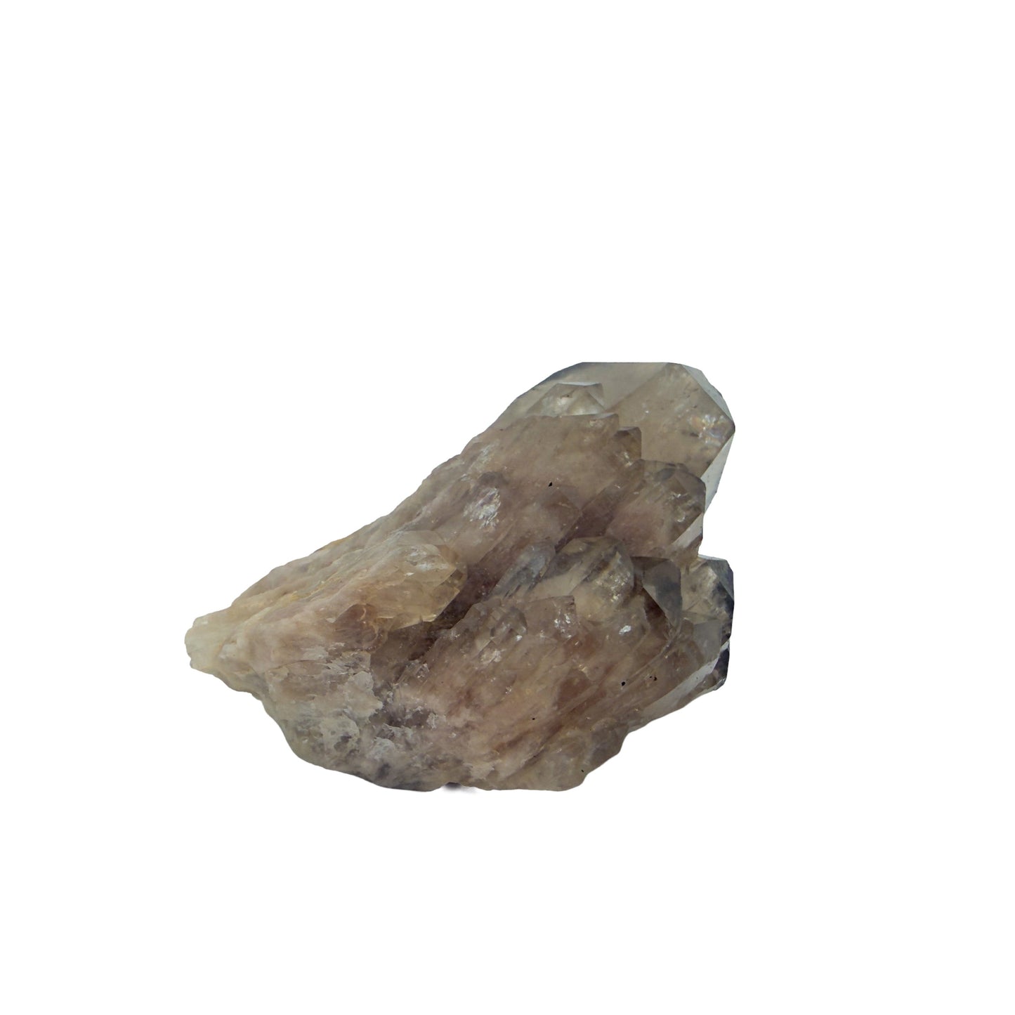 Congo natural citrine cluster no. 18 at the left profile, 1.99 inches wide, hand-finished with jojoba oil.
