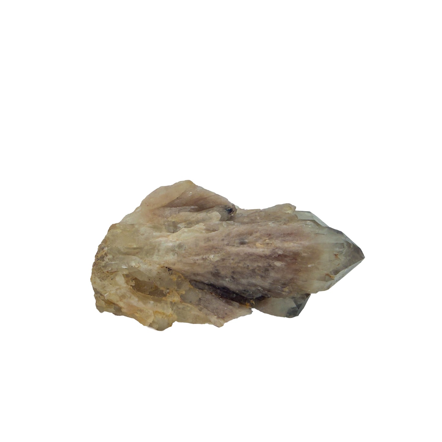 Primary crystal face of natural citrine no. 19, 3.00 inches across, terminations catching light along the top edge.
