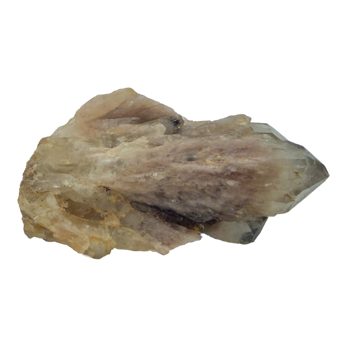 Primary crystal face of natural citrine no. 19, 3.00 inches across, terminations catching light along the top edge.