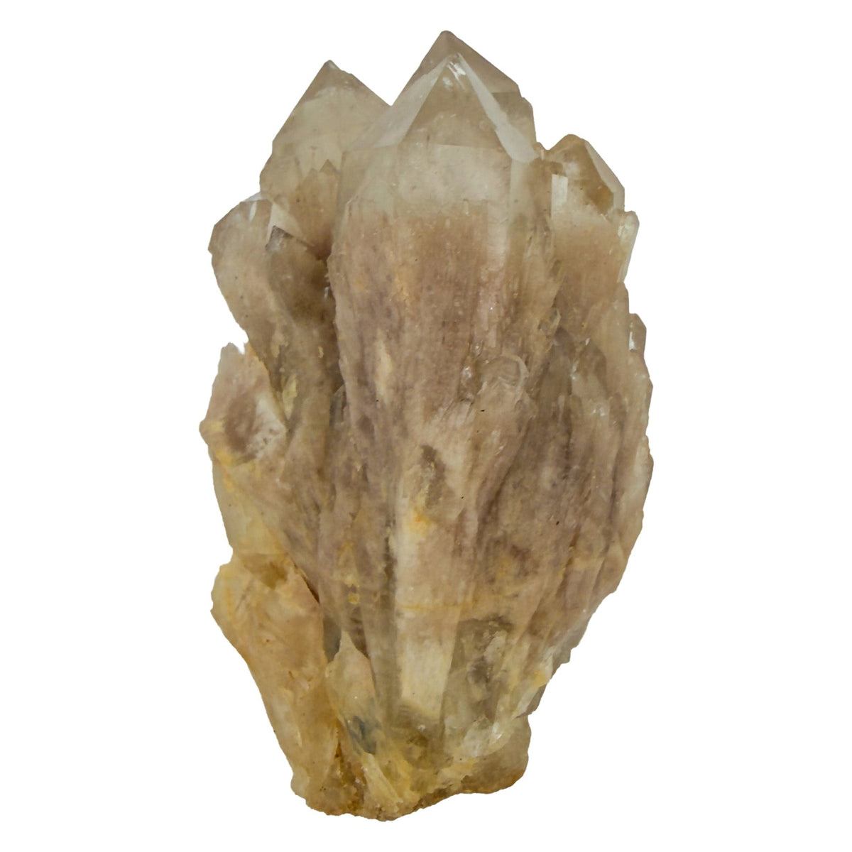 The top-down view of citrine cluster no. 19, 1.73 inches tall, soft golden color with smoky gray zoning.