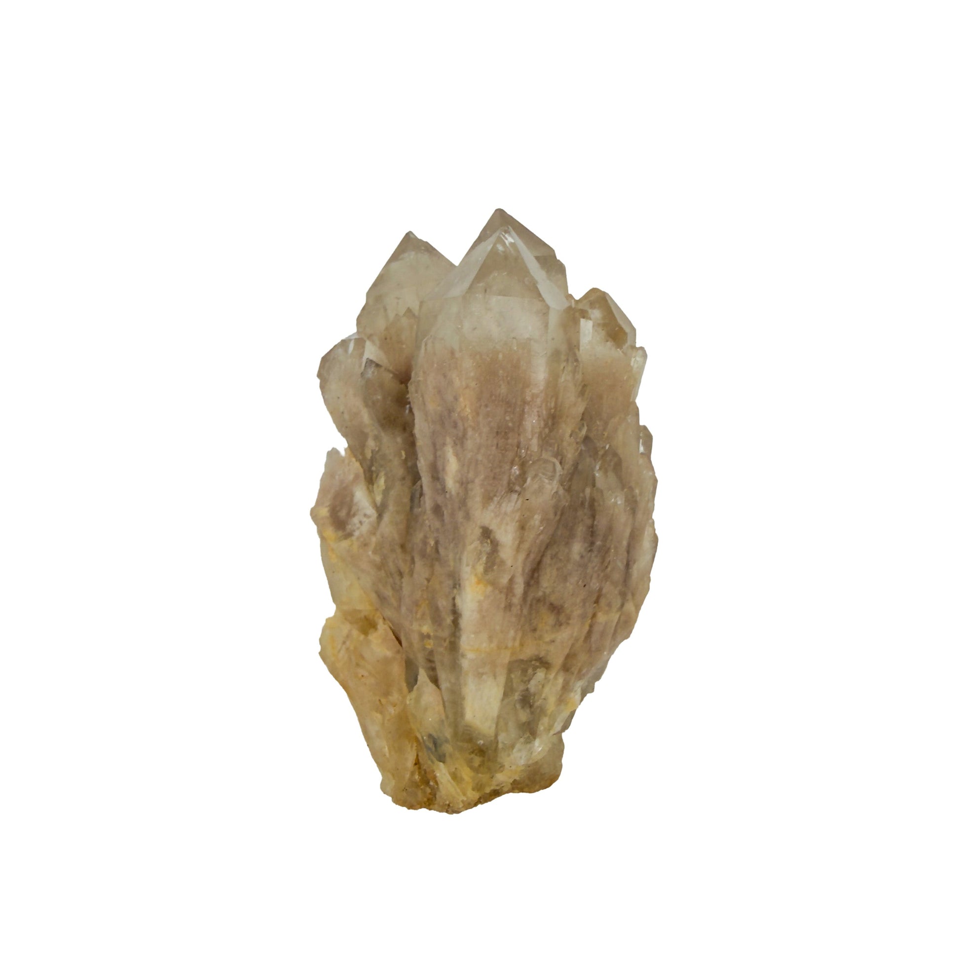 The top-down view of citrine cluster no. 19, 1.73 inches tall, soft golden colour with smoky grey zoning.