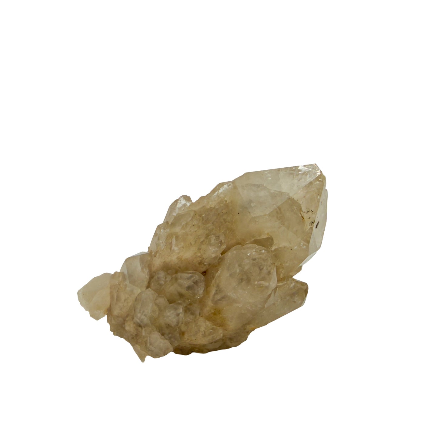 Congo natural citrine cluster no. 20 at the primary crystal face, 1.73 inches wide, hand-finished with jojoba oil.
