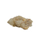 Primary crystal face of a 0.27 pound natural citrine cluster, no. 22, showing pale amber crystal faces over a raw base.