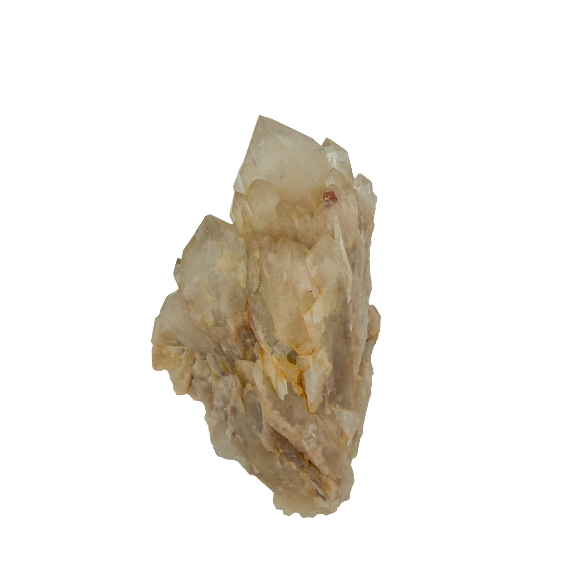 Reverse side of natural citrine no. 22, 3.45 inches across, terminations catching light along the top edge.