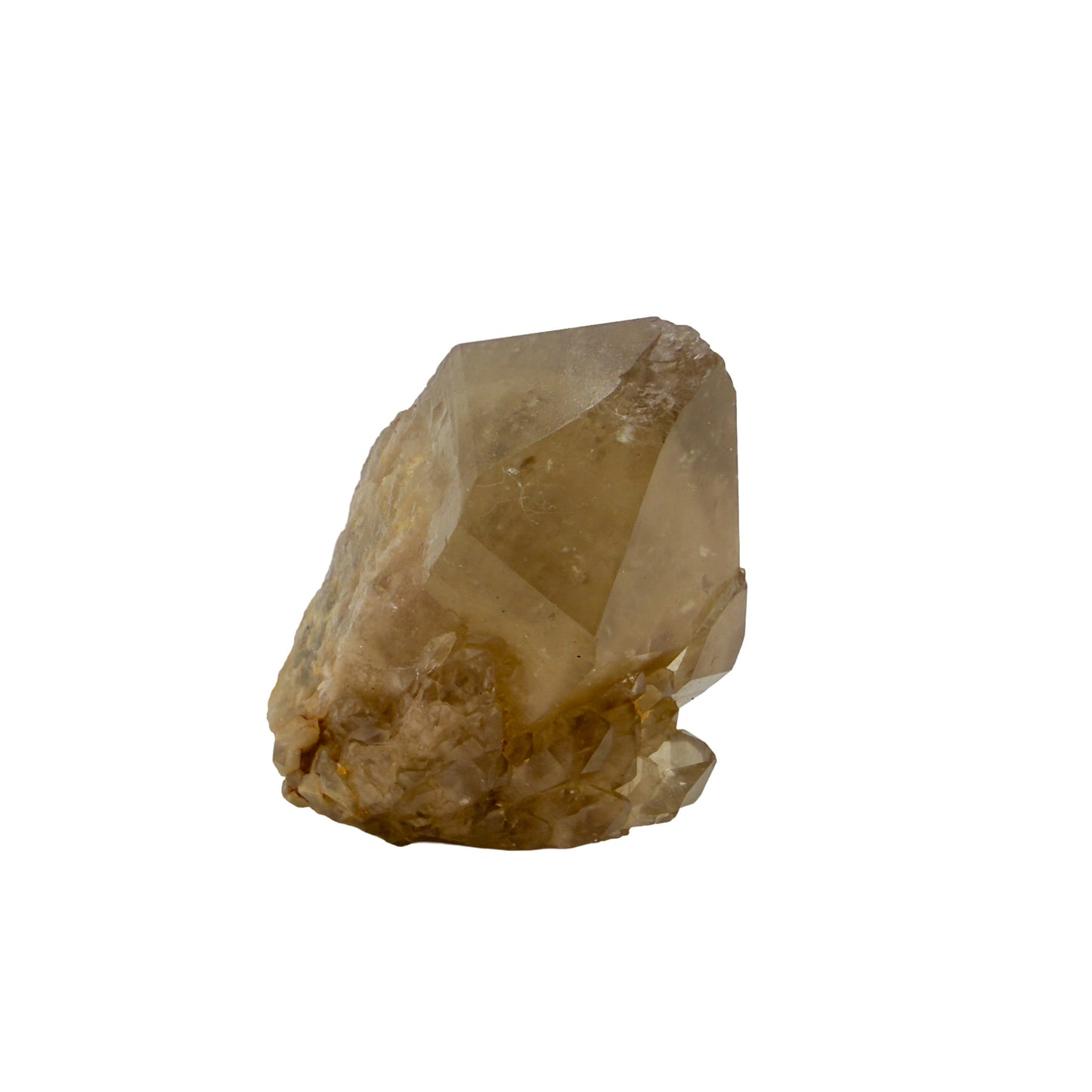 Right profile of natural citrine no. 23, 2.24 inches across, terminations catching light along the top edge.