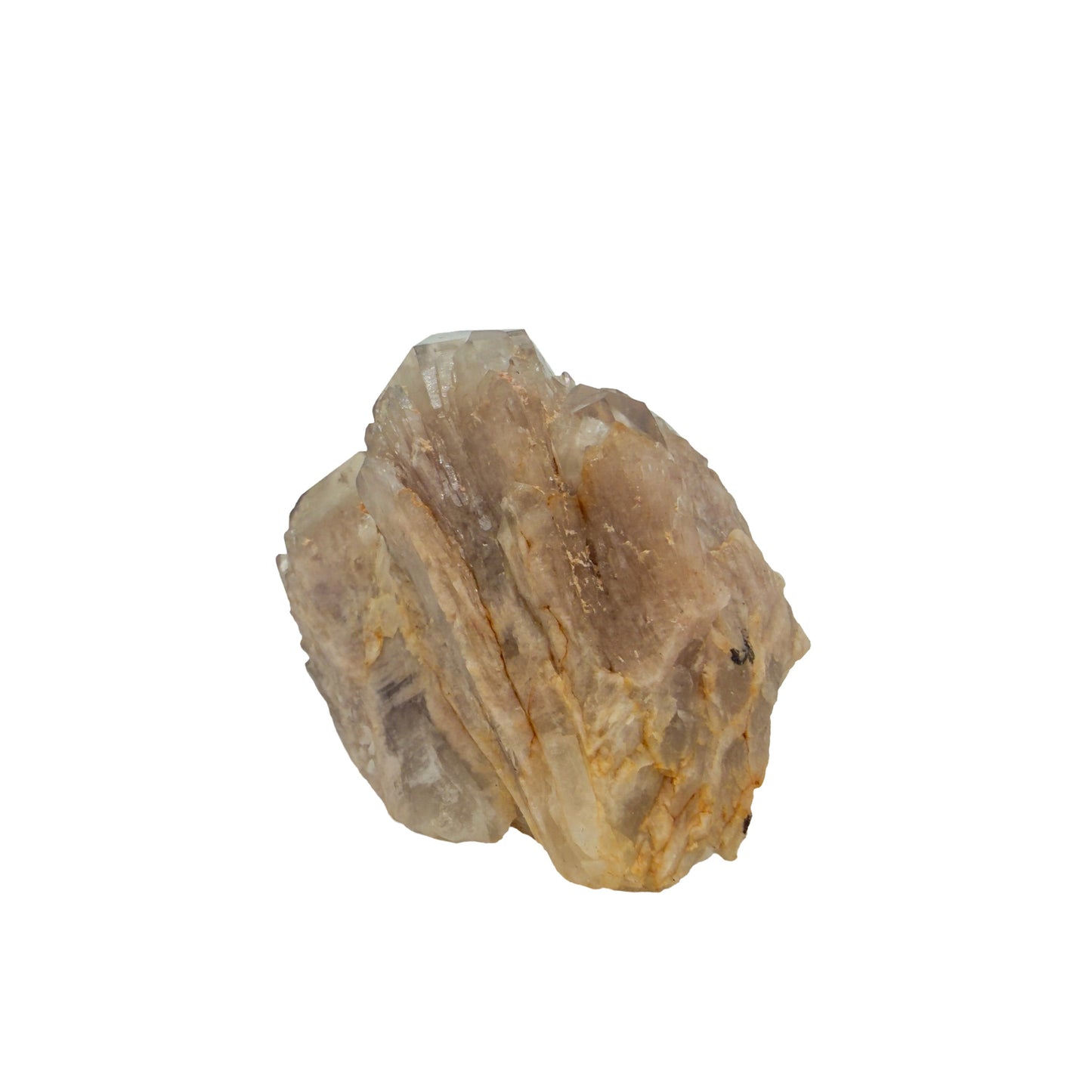 A-grade natural citrine cluster no. 25 from Haut-Lomami, DR Congo, right profile, honey-toned quartz terminations, 2.71 inches long.