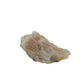 Primary crystal face of natural citrine no. 26, 2.58 inches across, terminations catching light along the top edge.