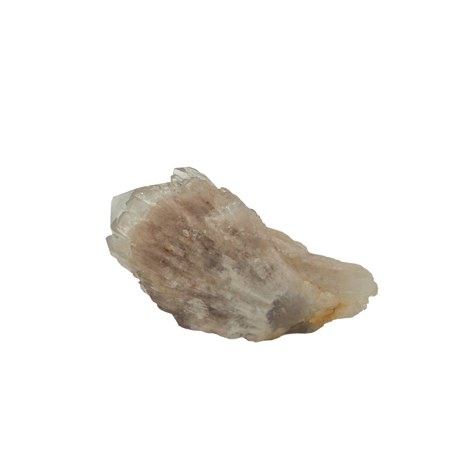 Primary crystal face of natural citrine no. 26, 2.58 inches across, terminations catching light along the top edge.