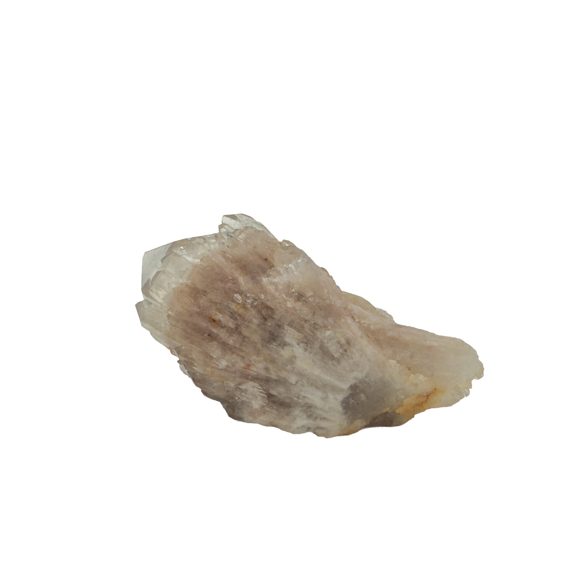 Primary crystal face of natural citrine no. 26, 2.58 inches across, terminations catching light along the top edge.