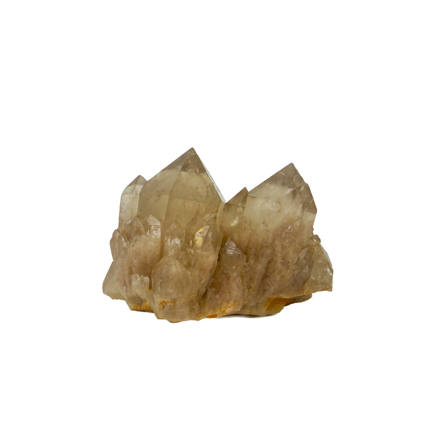 A-grade natural citrine cluster no. 28 from Haut-Lomami, DR Congo, primary crystal face, honey-toned quartz terminations, 2.16 inches long.