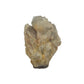 A-grade natural citrine cluster no. 31 from Haut-Lomami, DR Congo, reverse side, honey-toned quartz terminations, 3.10 inches long.