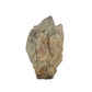 Top-down view of a 0.24 pound natural citrine cluster, no. 31, showing pale amber crystal faces over a raw base.
