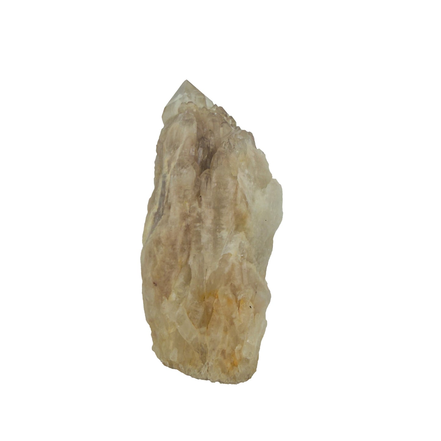 Reverse side of natural citrine no. 36, 3.63 inches across, terminations catching light along the top edge.