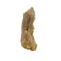 Natural Citrine Raw Crystal Cluster | Democratic Republic of the Congo