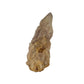 The angled three-quarter view of citrine cluster no. 37, 3.34 inches tall, soft golden colour with smoky grey zoning.