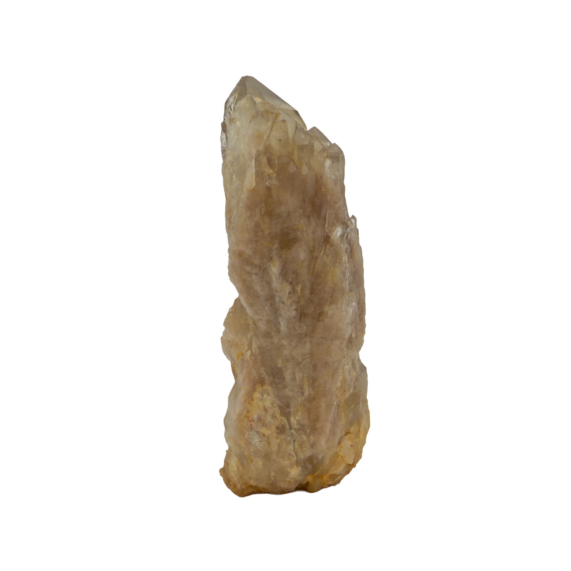 Right profile of natural citrine no. 37, 1.53 inches across, terminations catching light along the top edge.