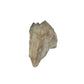 A-grade natural citrine cluster no. 38 from Haut-Lomami, DR Congo, reverse side, honey-toned quartz terminations, 2.88 inches long.