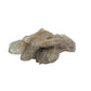 Congo natural citrine cluster no. 39 at the left profile, 1.58 inches wide, hand-finished with jojoba oil.