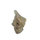 Reverse side of a 0.26 pound natural citrine cluster, no. 39, showing pale amber crystal faces over a raw base.