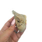 Citrine cluster no. 39 cupped in a hand, giving a sense of its 1.77 inch height and 0.26 pound weight.