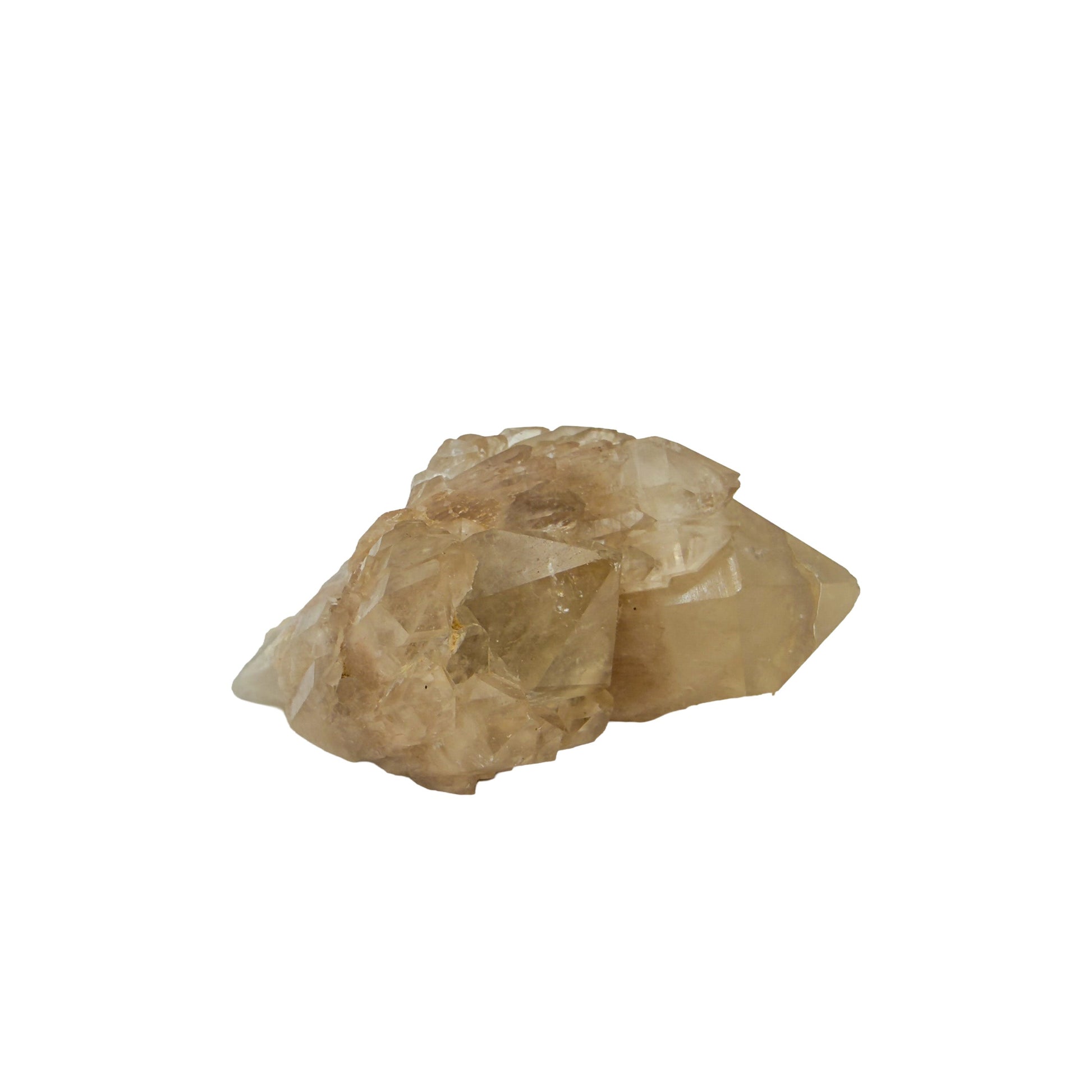 Primary crystal face of natural citrine no. 40, 2.11 inches across, terminations catching light along the top edge.