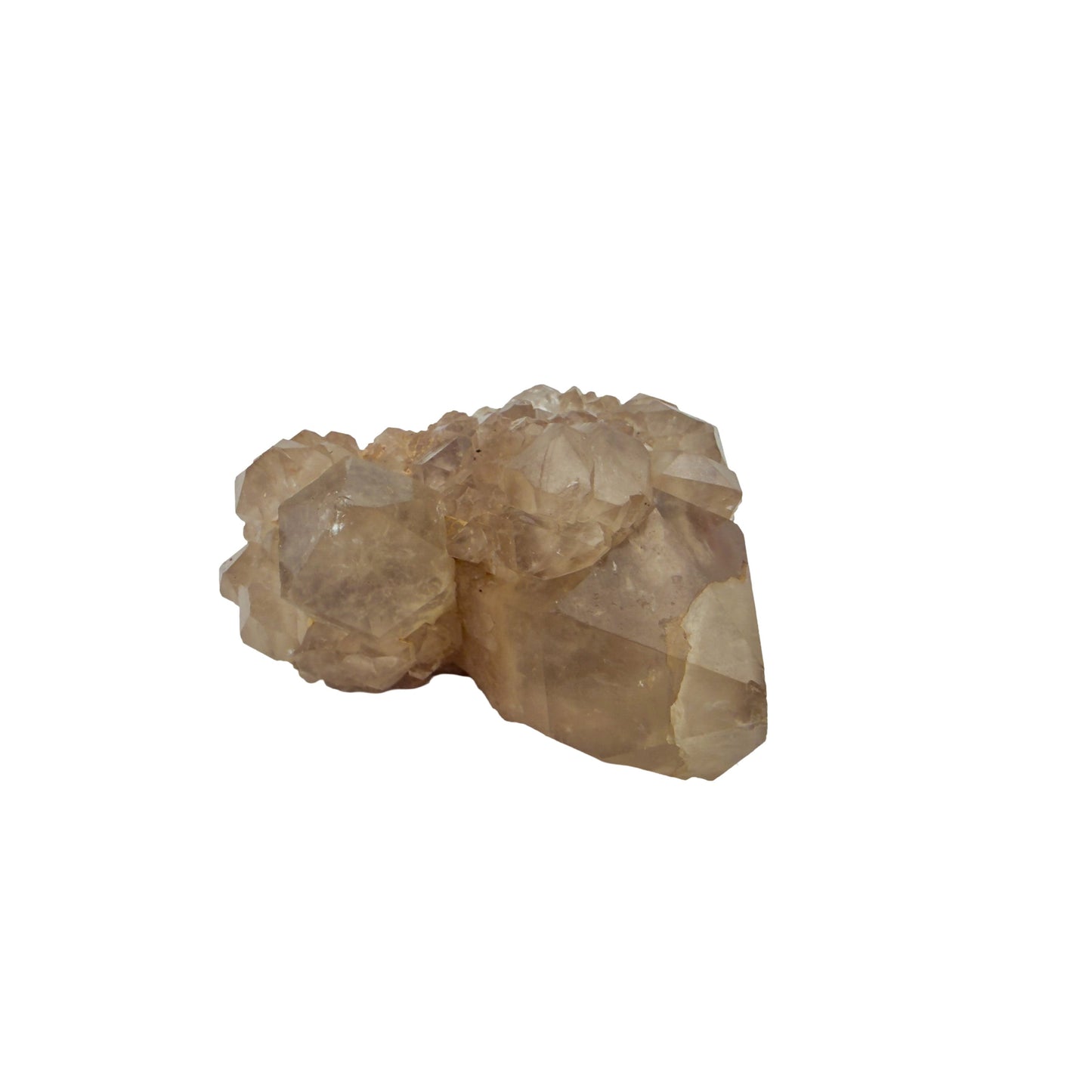 Congo natural citrine cluster no. 40 at the angled three-quarter view, 1.79 inches wide, hand-finished with jojoba oil.