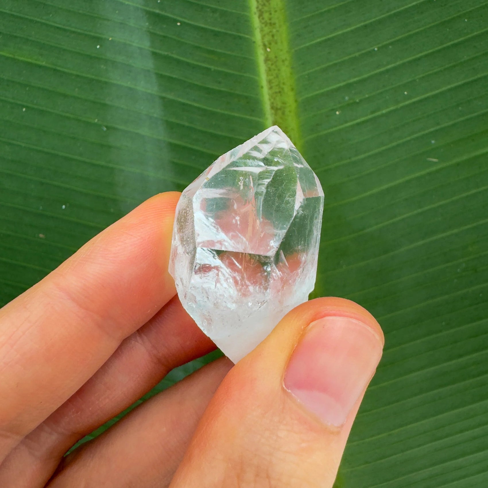 Full profile of Grade AA Clear Quartz point ready to ship from Beyond Bohemian