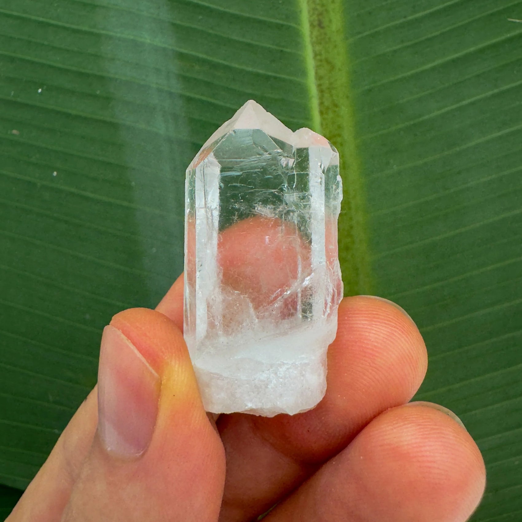 Full profile of Grade AA Clear Quartz point ready to ship from Beyond Bohemian